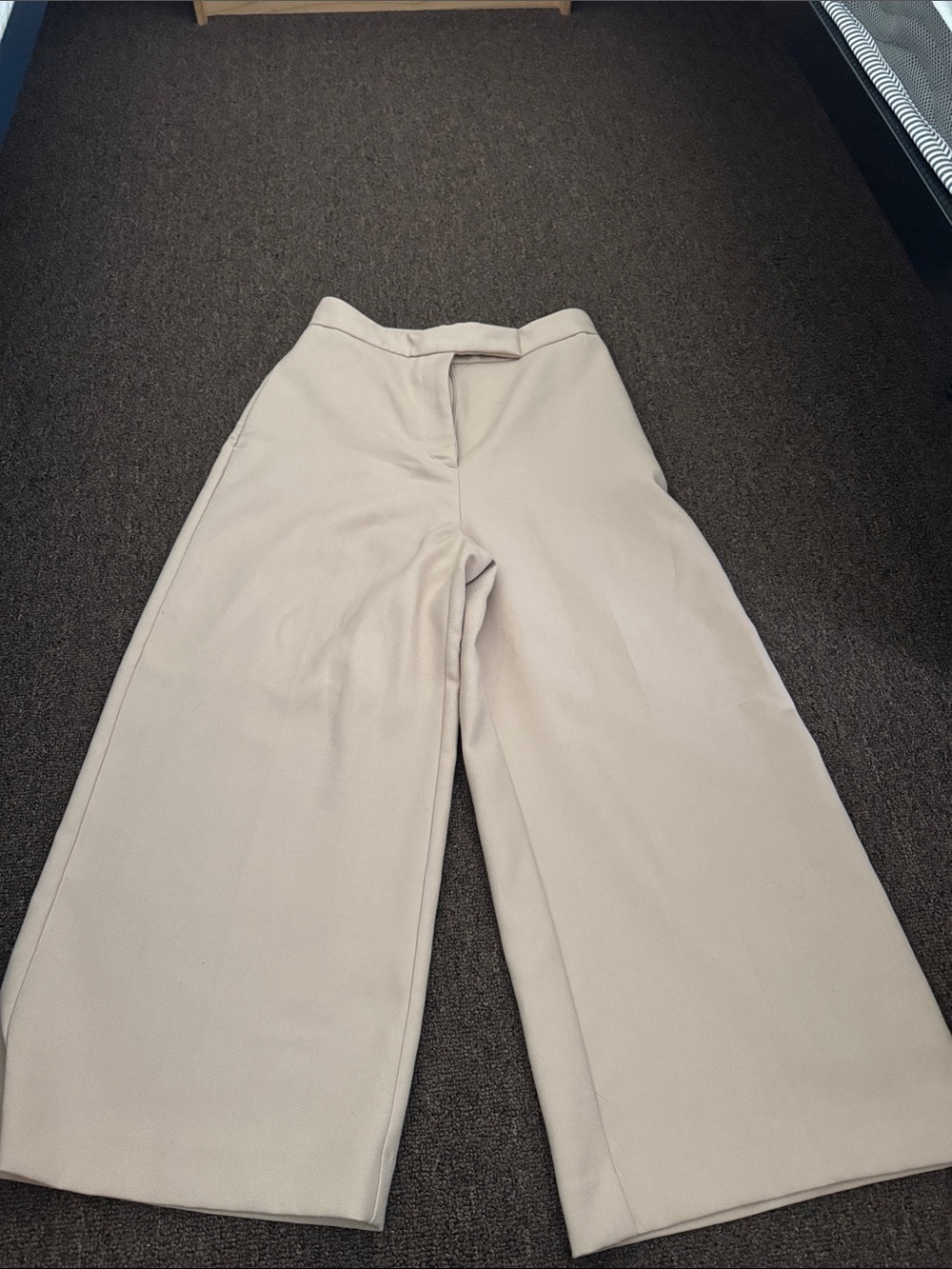 Zara Wide Leg Cropped Pants in Light Beige
